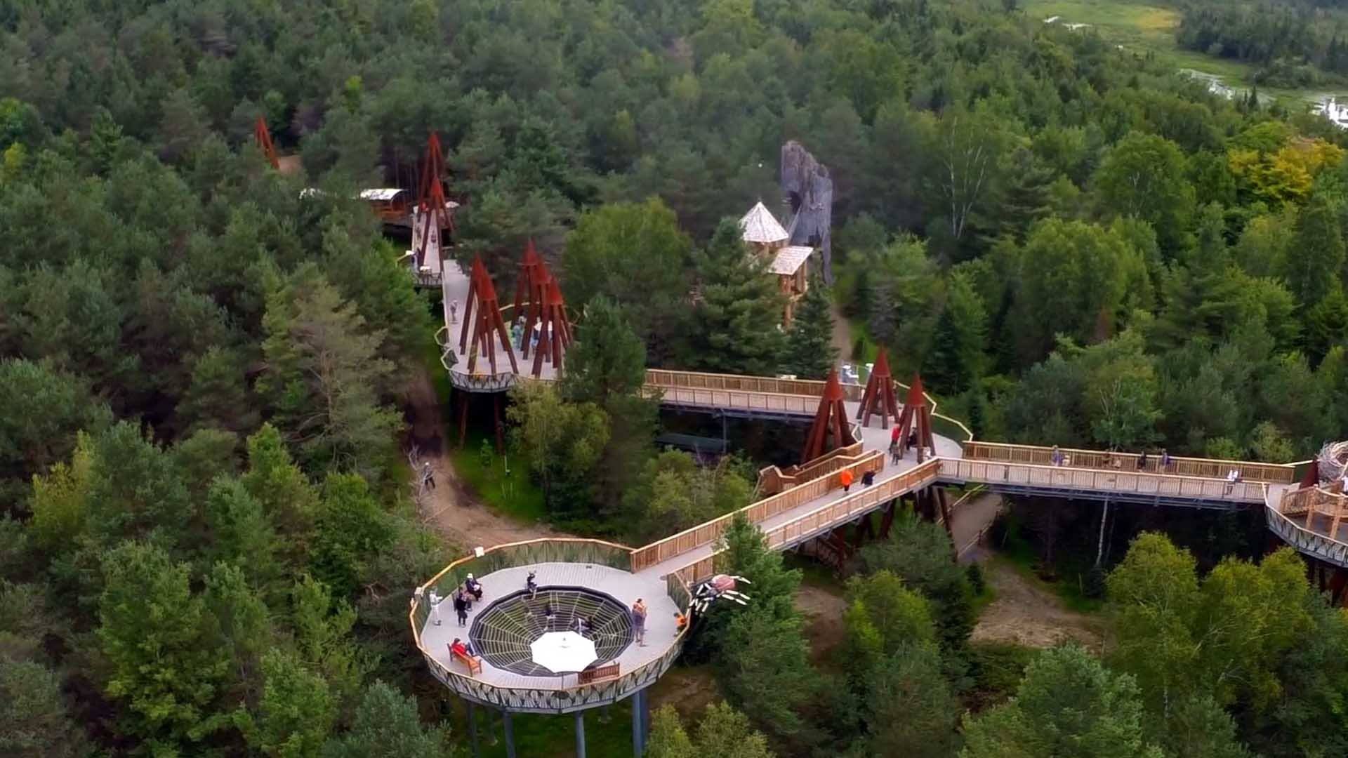 First walkways above trees soon to be set up in Georgia geotv.ge